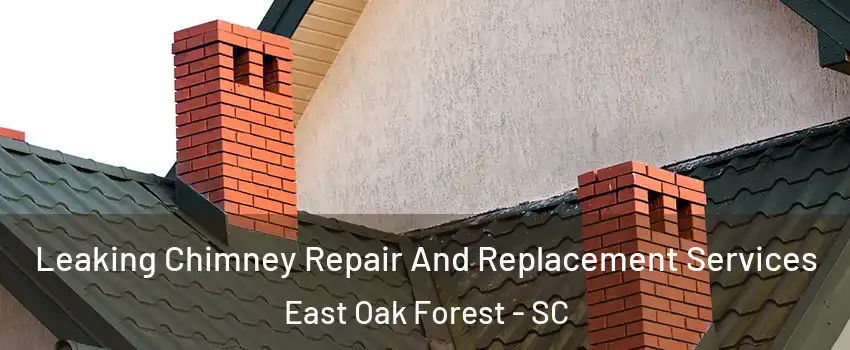 Leaking Chimney Repair And Replacement Services East Oak Forest - SC