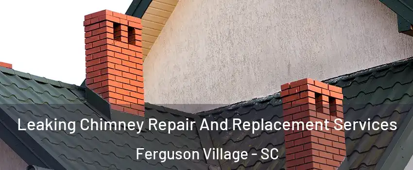 Leaking Chimney Repair And Replacement Services Ferguson Village - SC