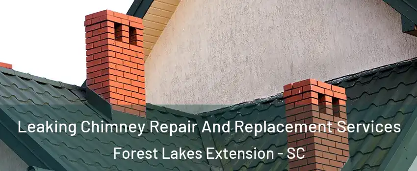 Leaking Chimney Repair And Replacement Services Forest Lakes Extension - SC