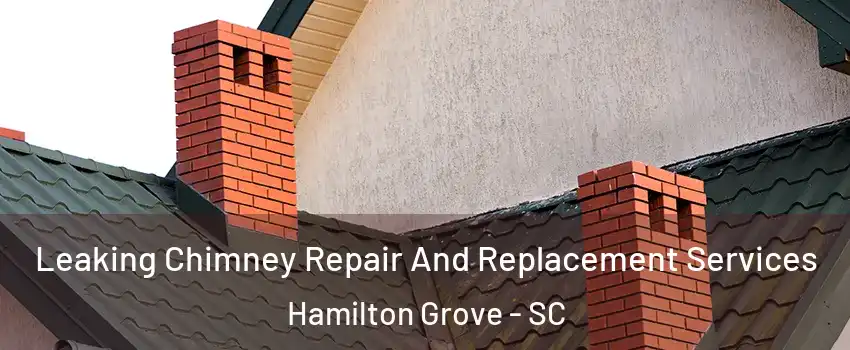 Leaking Chimney Repair And Replacement Services Hamilton Grove - SC