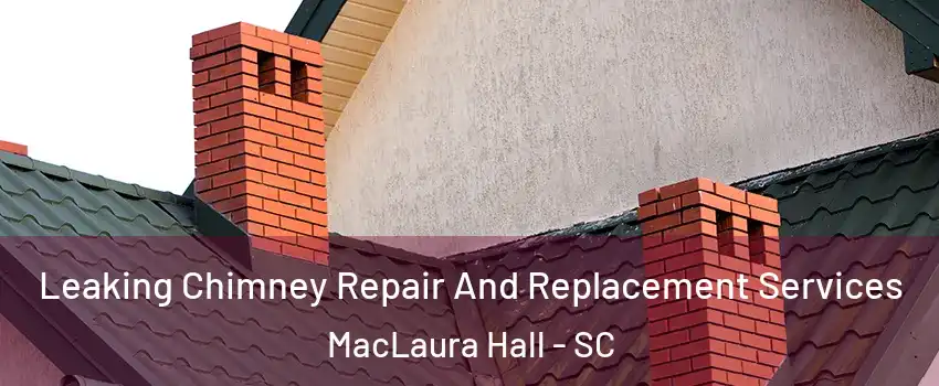 Leaking Chimney Repair And Replacement Services MacLaura Hall - SC