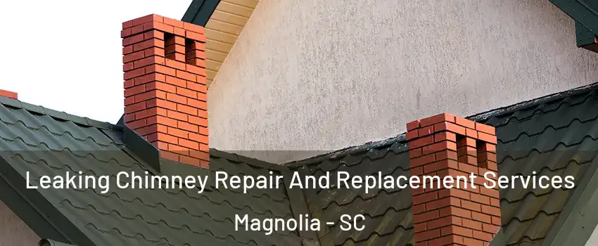 Leaking Chimney Repair And Replacement Services Magnolia - SC