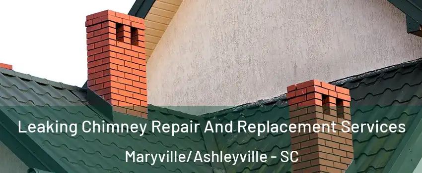 Leaking Chimney Repair And Replacement Services Maryville/Ashleyville - SC