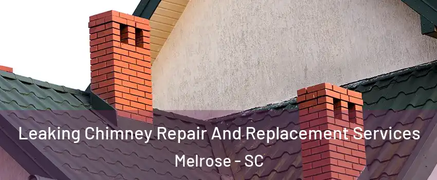 Leaking Chimney Repair And Replacement Services Melrose - SC