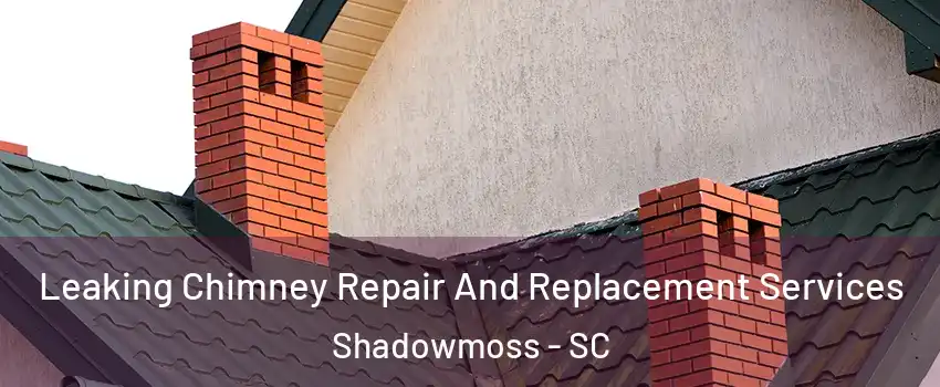 Leaking Chimney Repair And Replacement Services Shadowmoss - SC