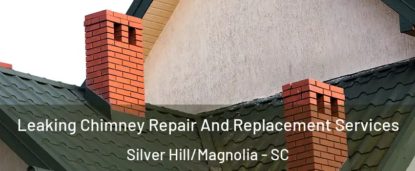 Leaking Chimney Repair And Replacement Services Silver Hill/Magnolia - SC