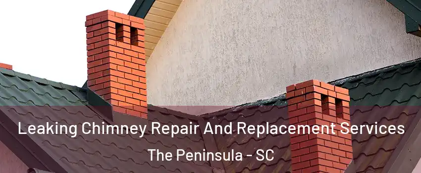 Leaking Chimney Repair And Replacement Services The Peninsula - SC