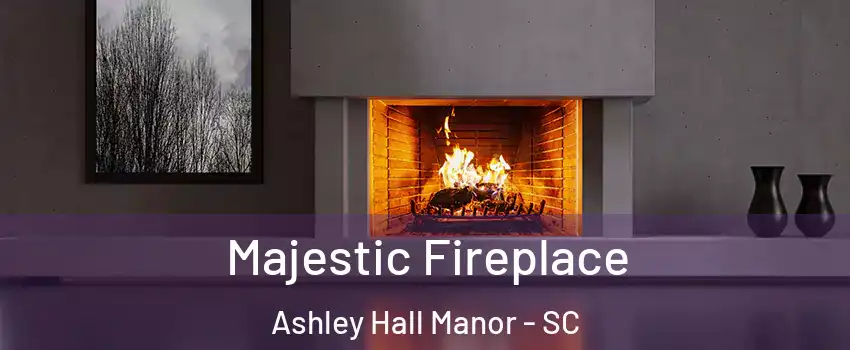 Majestic Fireplace Ashley Hall Manor - SC