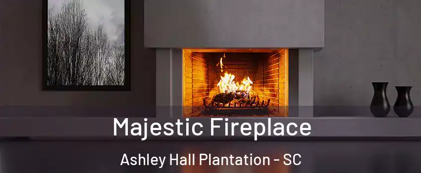 Majestic Fireplace Ashley Hall Plantation - SC