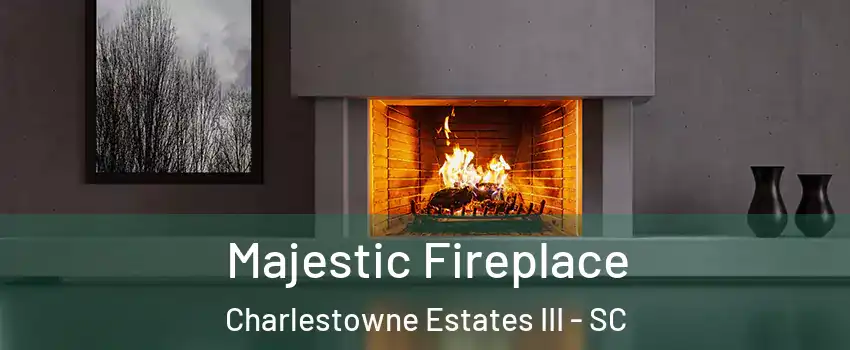 Majestic Fireplace Charlestowne Estates III - SC