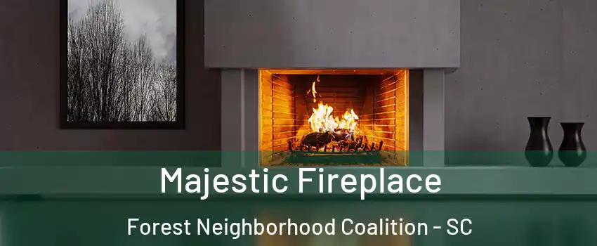 Majestic Fireplace Forest Neighborhood Coalition - SC