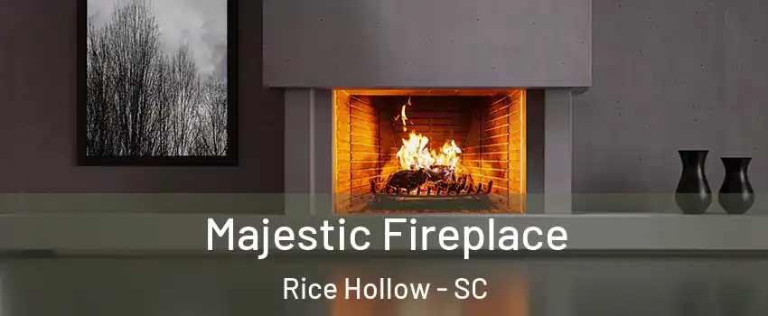 Majestic Fireplace Rice Hollow - SC