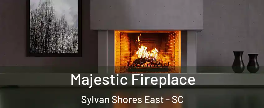 Majestic Fireplace Sylvan Shores East - SC