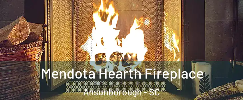 Mendota Hearth Fireplace Ansonborough - SC