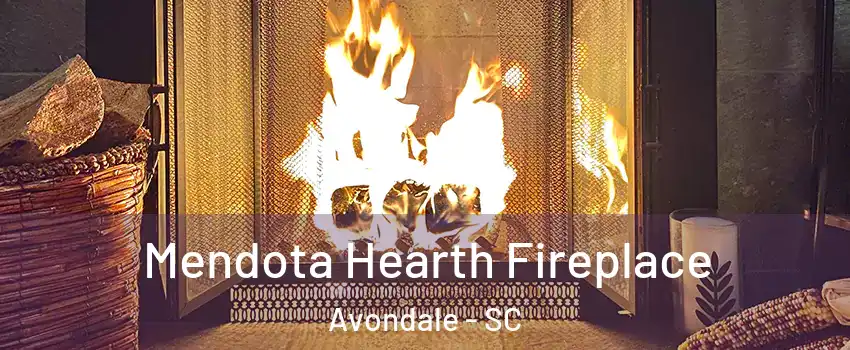 Mendota Hearth Fireplace Avondale - SC