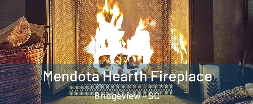 Mendota Hearth Fireplace Bridgeview - SC