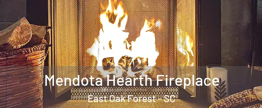 Mendota Hearth Fireplace East Oak Forest - SC