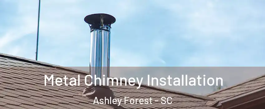 Metal Chimney Installation Ashley Forest - SC