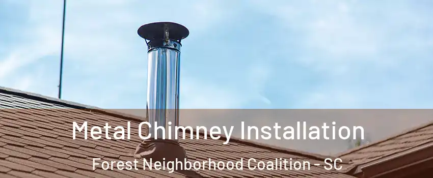 Metal Chimney Installation Forest Neighborhood Coalition - SC