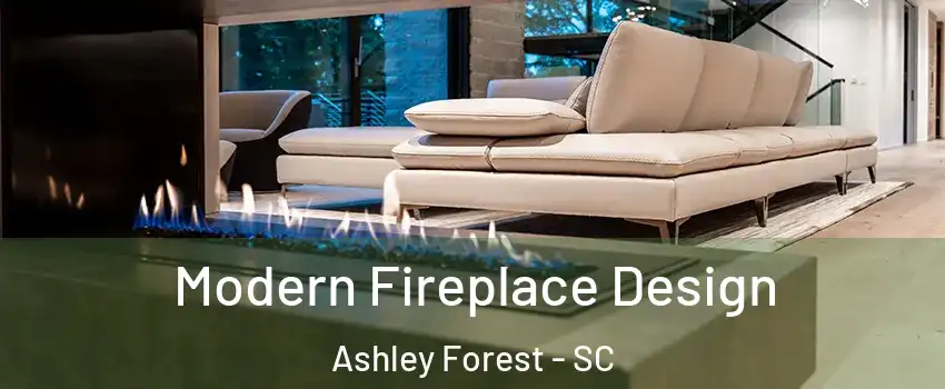 Modern Fireplace Design Ashley Forest - SC