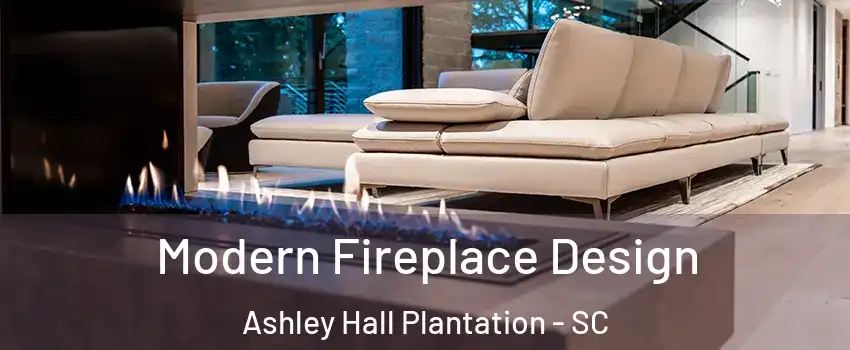 Modern Fireplace Design Ashley Hall Plantation - SC