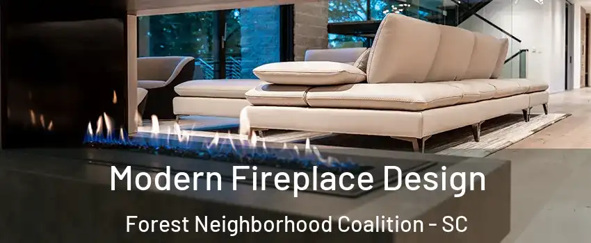 Modern Fireplace Design Forest Neighborhood Coalition - SC