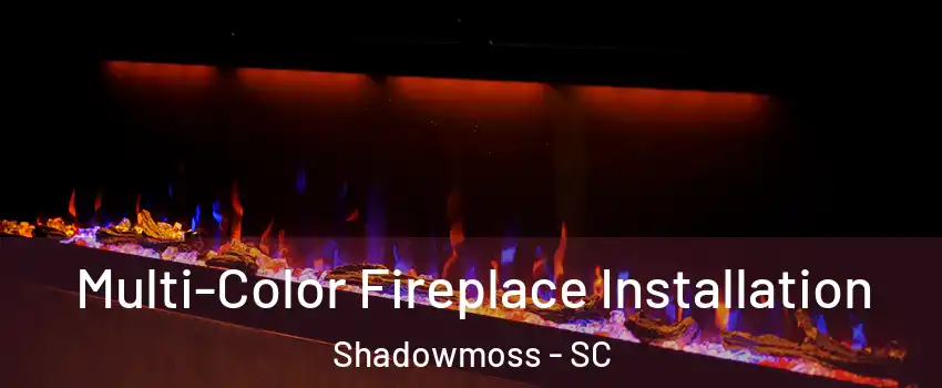 Multi-Color Fireplace Installation Shadowmoss - SC