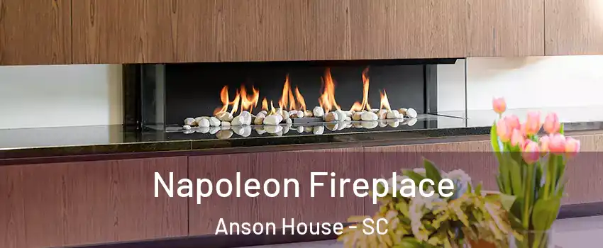 Napoleon Fireplace Anson House - SC