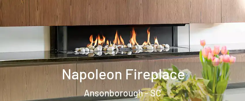 Napoleon Fireplace Ansonborough - SC