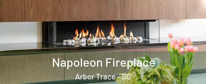 Napoleon Fireplace Arbor Trace - SC