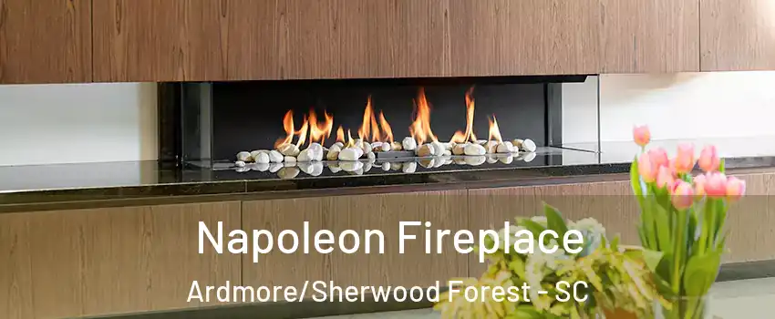 Napoleon Fireplace Ardmore/Sherwood Forest - SC