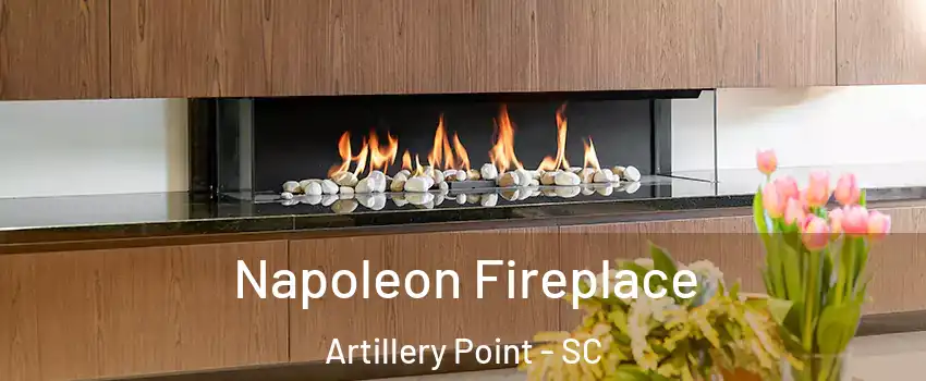 Napoleon Fireplace Artillery Point - SC