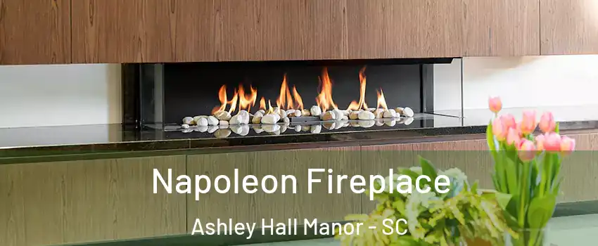 Napoleon Fireplace Ashley Hall Manor - SC