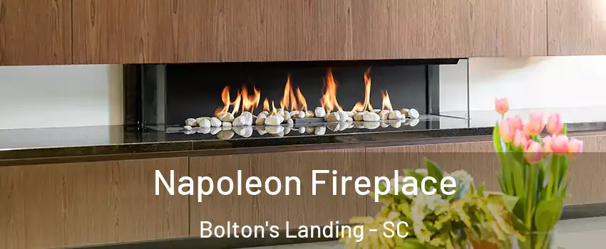 Napoleon Fireplace Bolton's Landing - SC