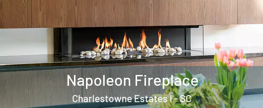 Napoleon Fireplace Charlestowne Estates I - SC