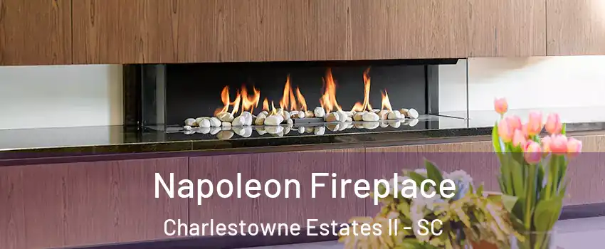 Napoleon Fireplace Charlestowne Estates II - SC