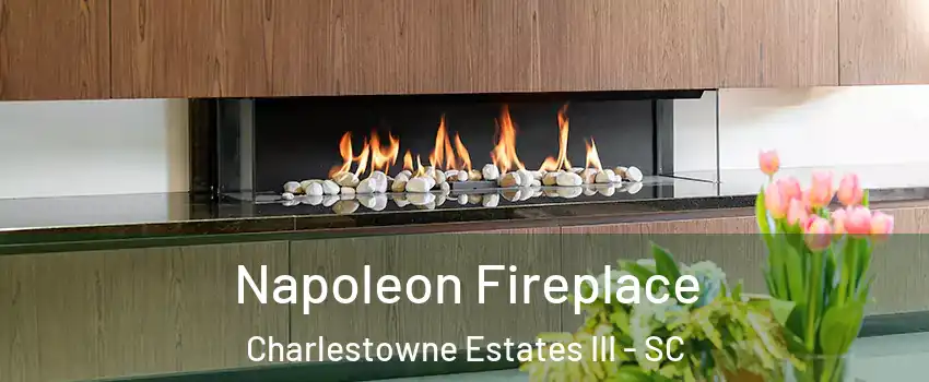 Napoleon Fireplace Charlestowne Estates III - SC