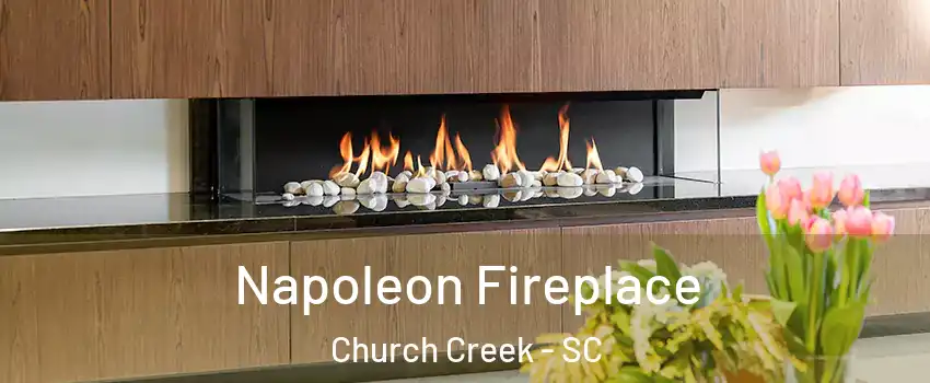 Napoleon Fireplace Church Creek - SC