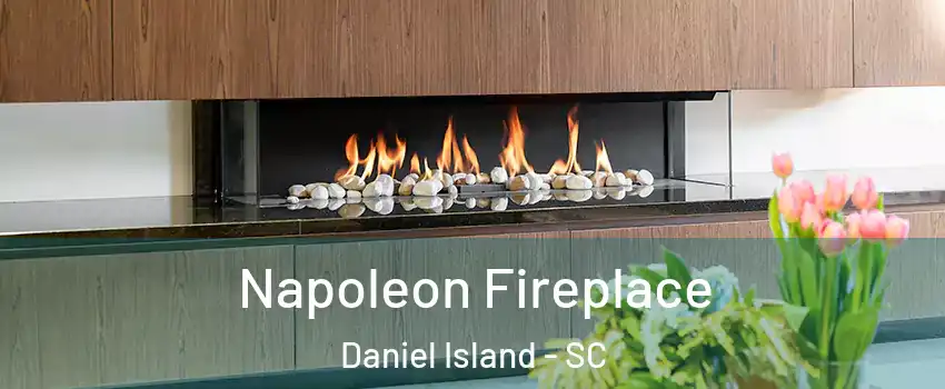 Napoleon Fireplace Daniel Island - SC