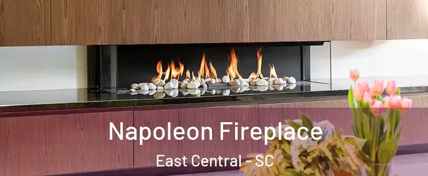 Napoleon Fireplace East Central - SC