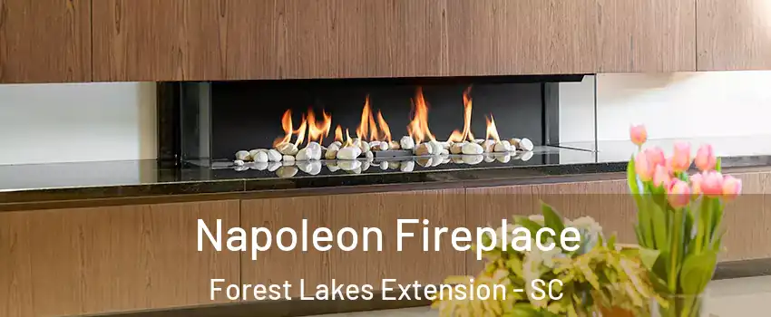 Napoleon Fireplace Forest Lakes Extension - SC