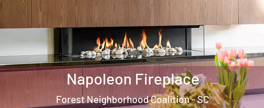 Napoleon Fireplace Forest Neighborhood Coalition - SC