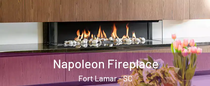 Napoleon Fireplace Fort Lamar - SC