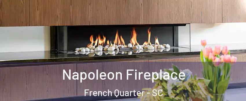 Napoleon Fireplace French Quarter - SC