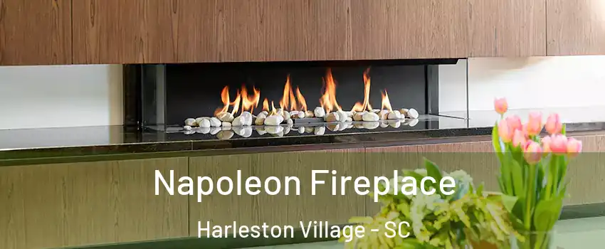 Napoleon Fireplace Harleston Village - SC