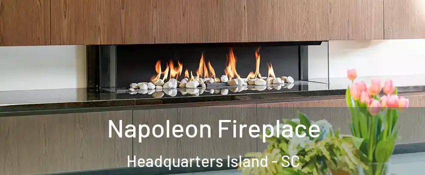 Napoleon Fireplace Headquarters Island - SC