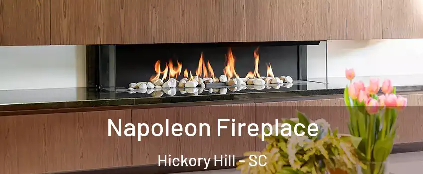 Napoleon Fireplace Hickory Hill - SC