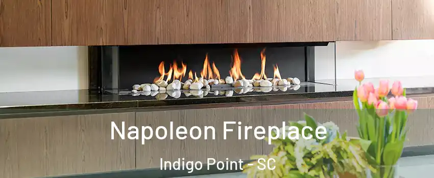 Napoleon Fireplace Indigo Point - SC