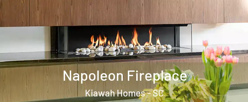 Napoleon Fireplace Kiawah Homes - SC