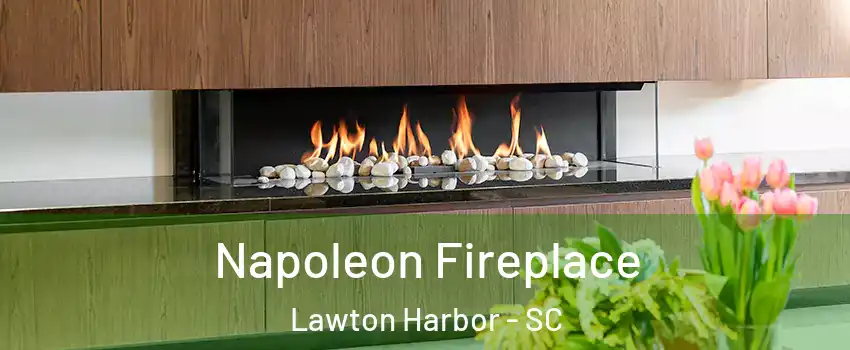 Napoleon Fireplace Lawton Harbor - SC